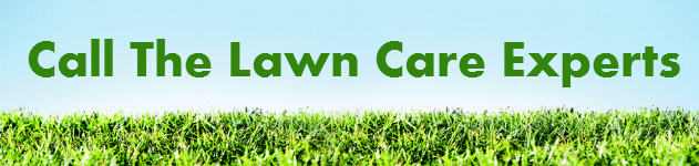 Lawn Care Experts for LaFayette Lawn Care Experts for LaFayette