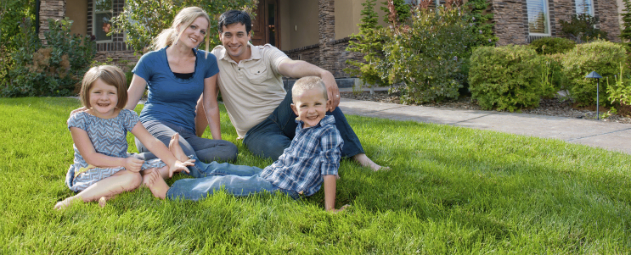 Professional Lawn Care for Cadiz Professional Lawn Care for Cadiz