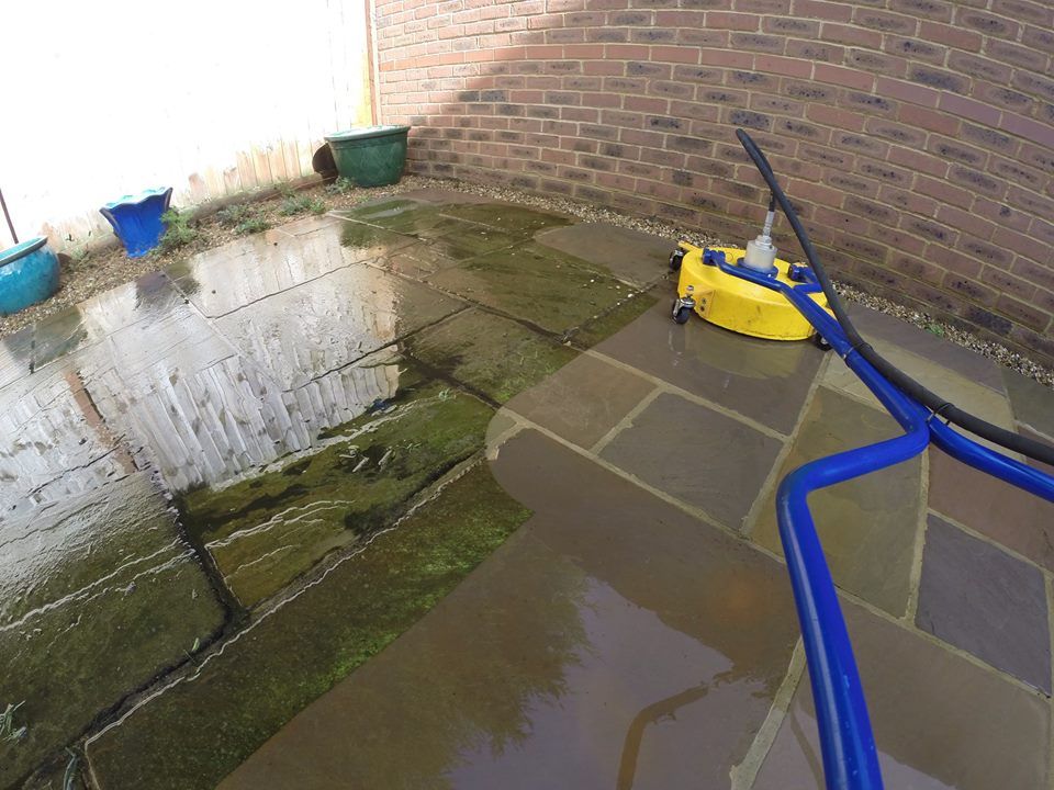 moss formed on the patios