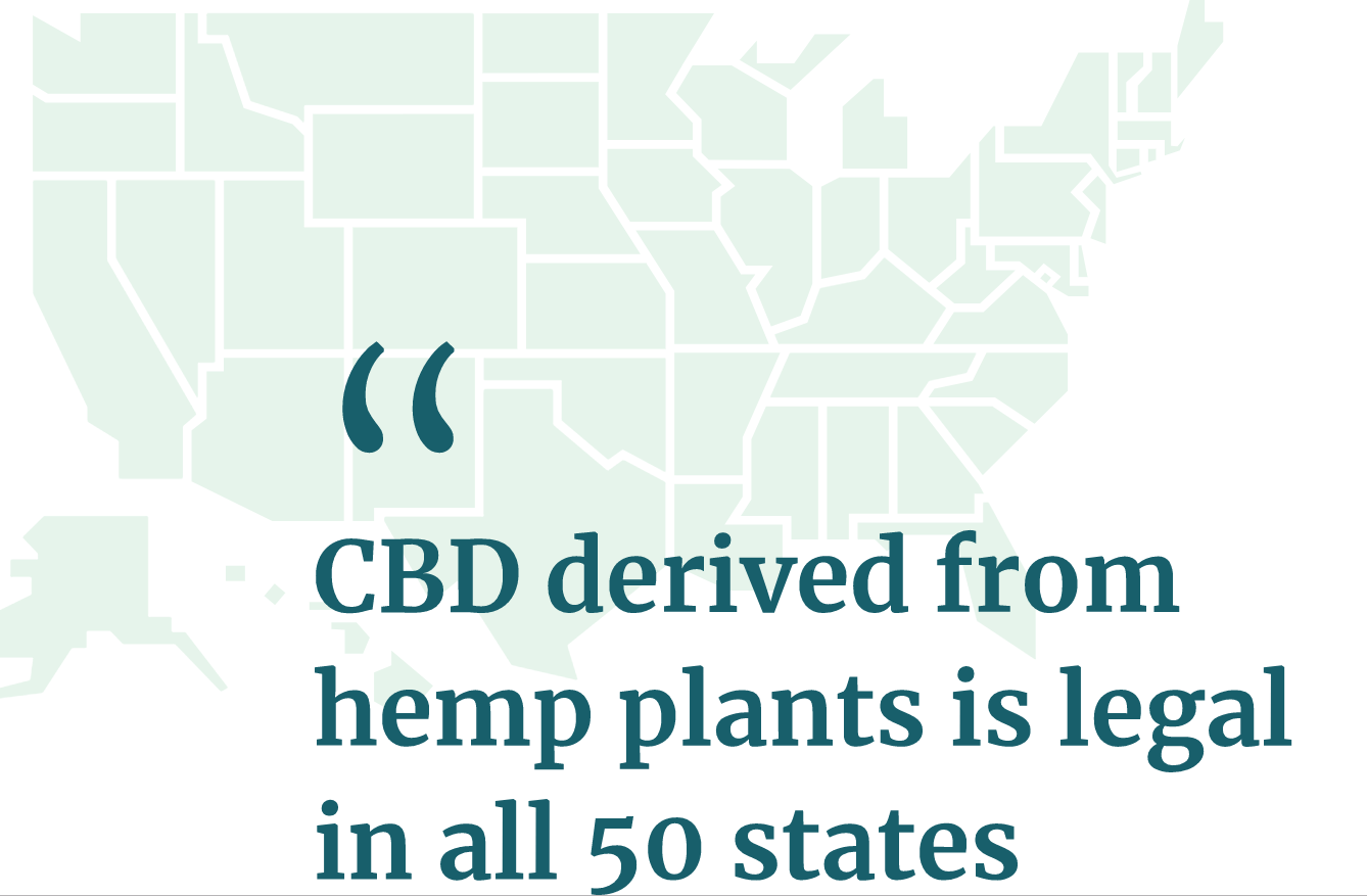PURCHASING HEMP CBD OIL