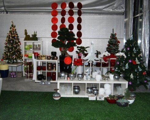 piante ornamentali