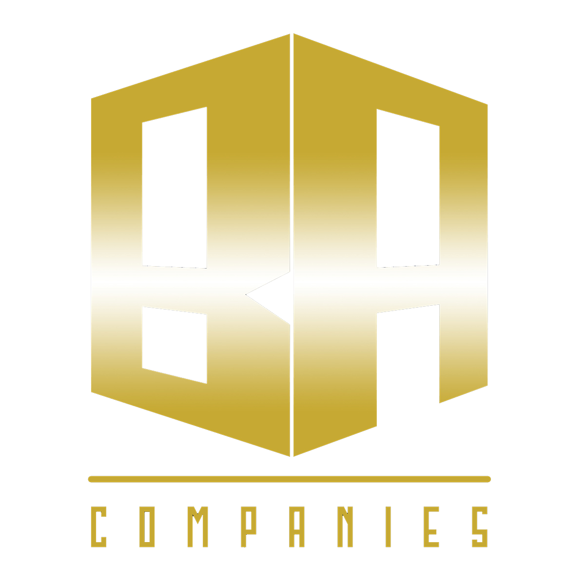 BA COMPANIES LOGO