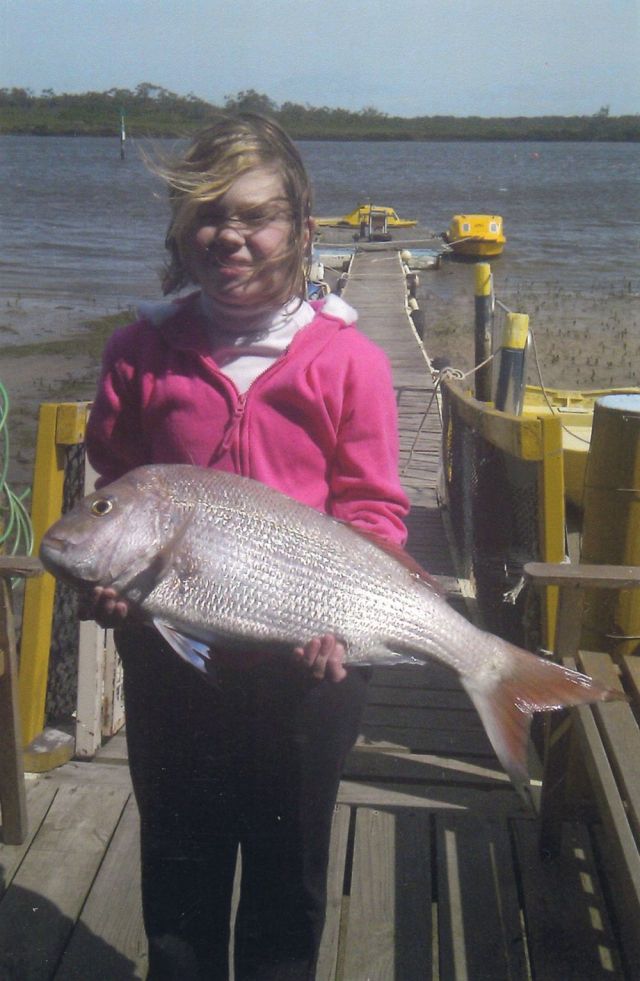 Snapper caught on Sunday 29th September 2013