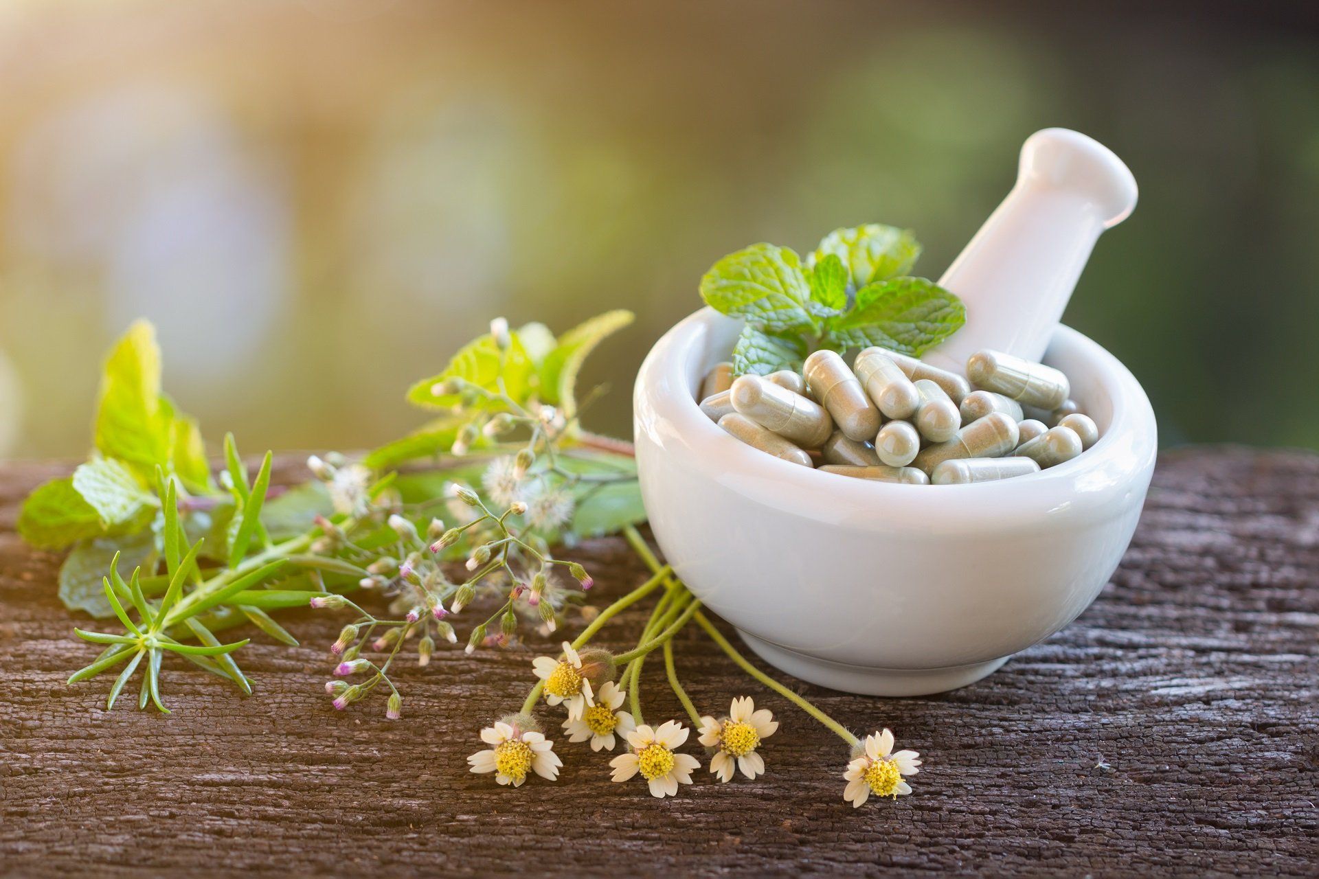 Erbe officinali