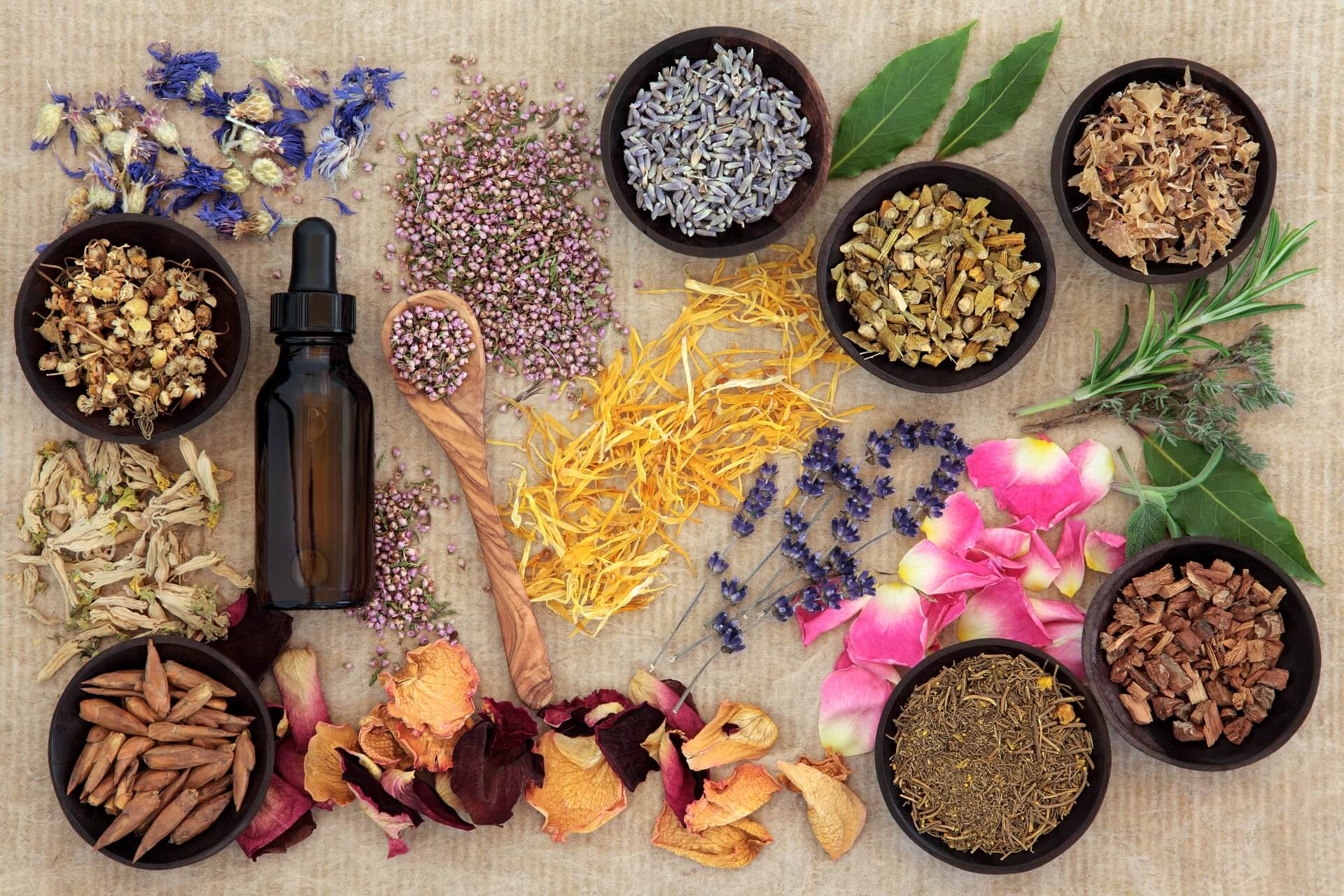 Servizi di fitoterapia