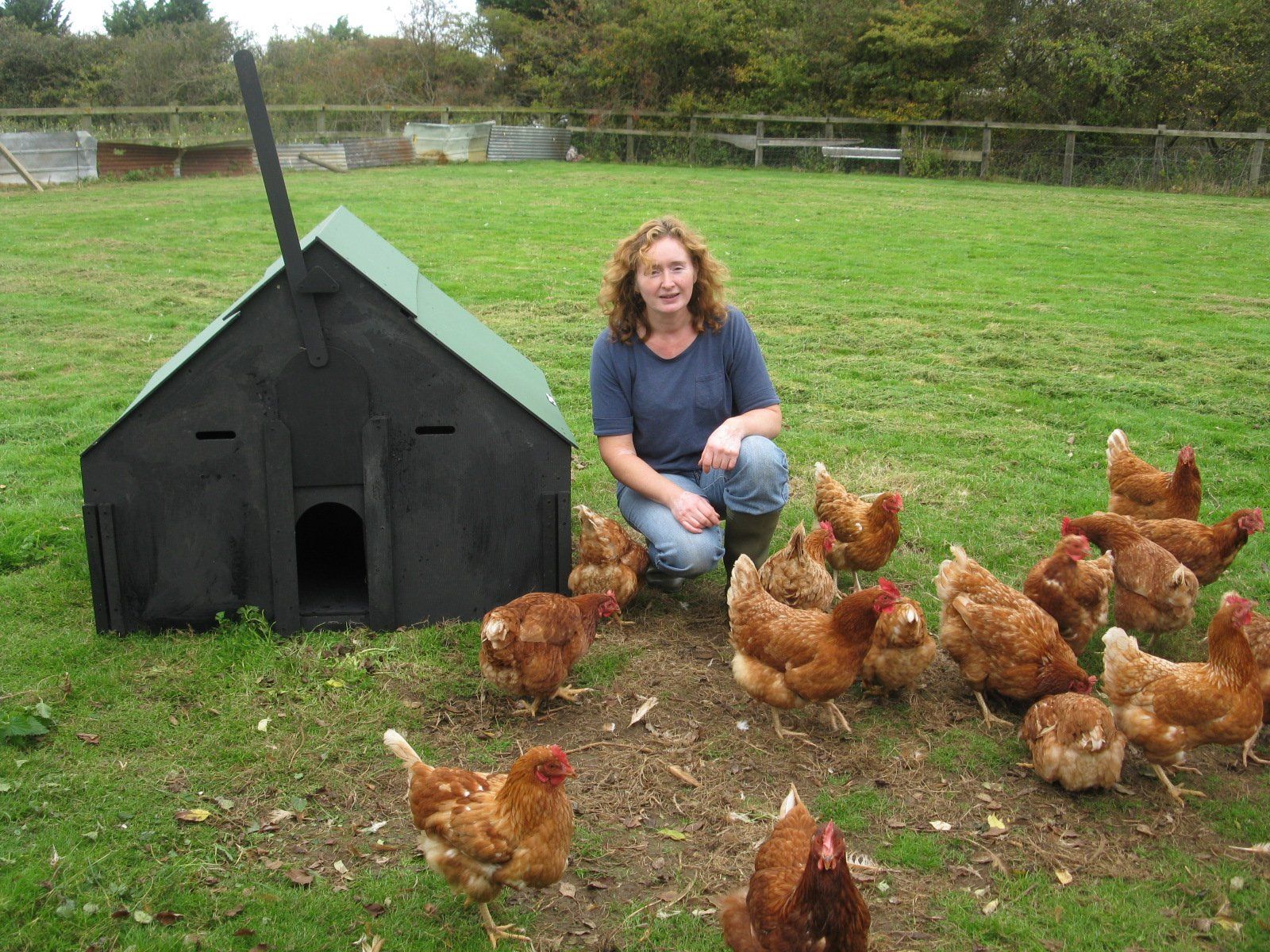 Happy Hens