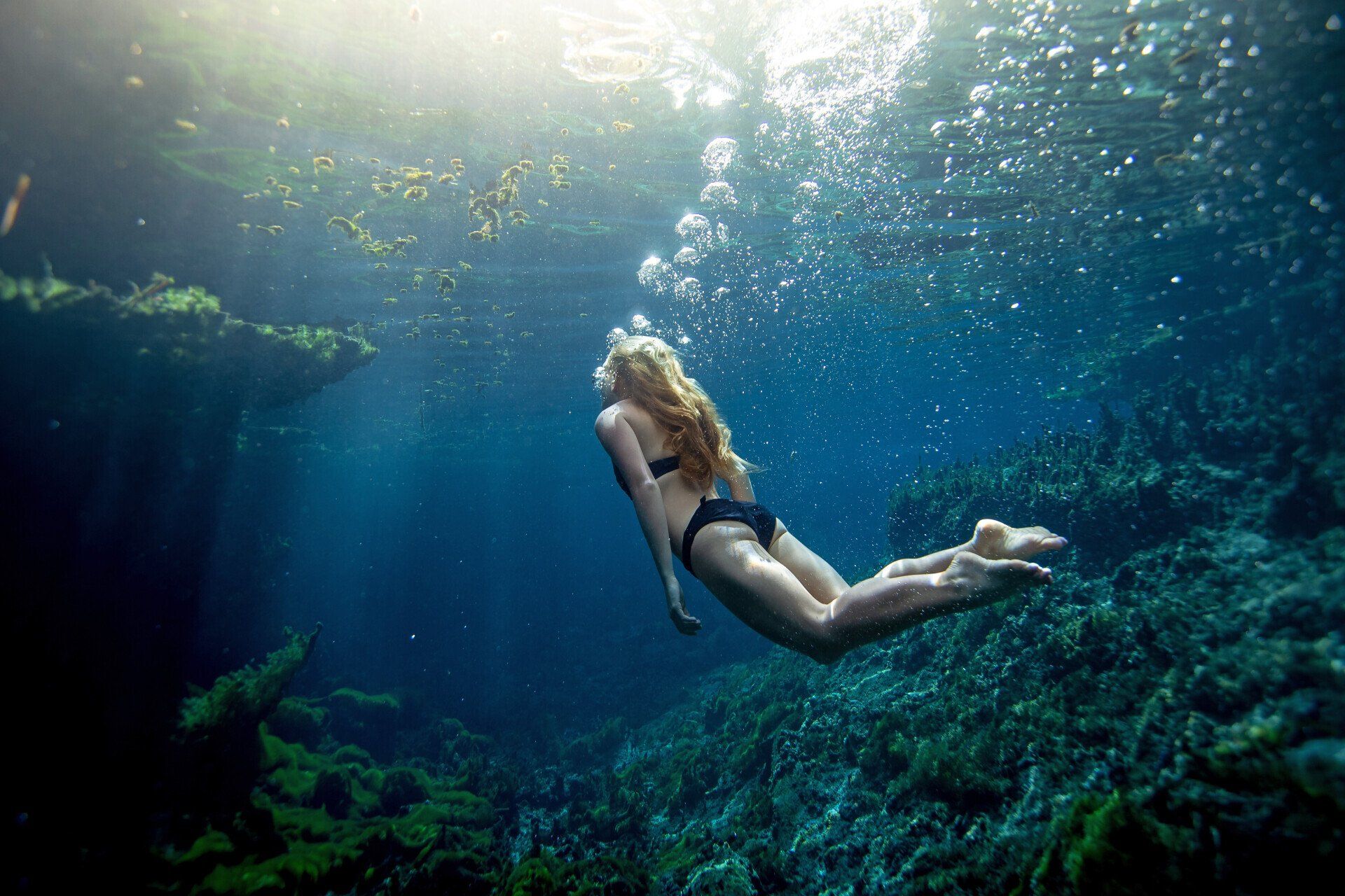 A woman in a bikini is swimming underwater in the ocean.