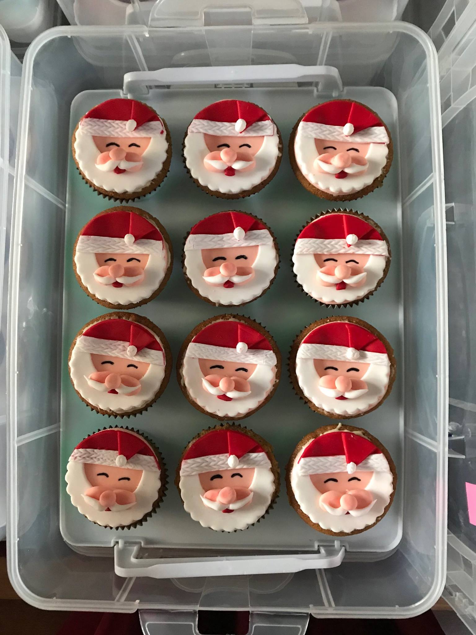 Christmas Cupcakes - Santa faces