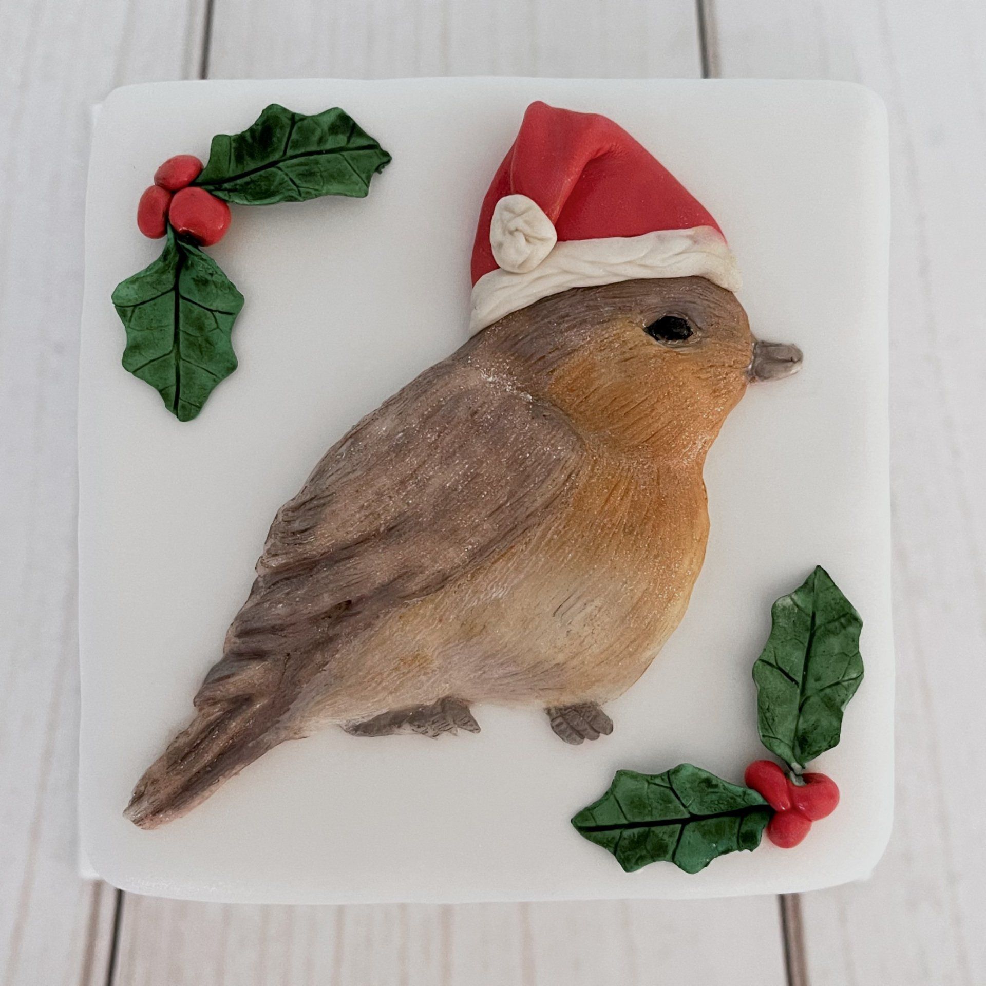 Christmas cake with Fondant Holly and a cute Fondant Robin with santa hat.