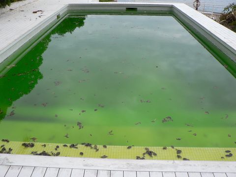 Dirty Swimming Pool Water — Albuquerque, NM — Atlas Pumping