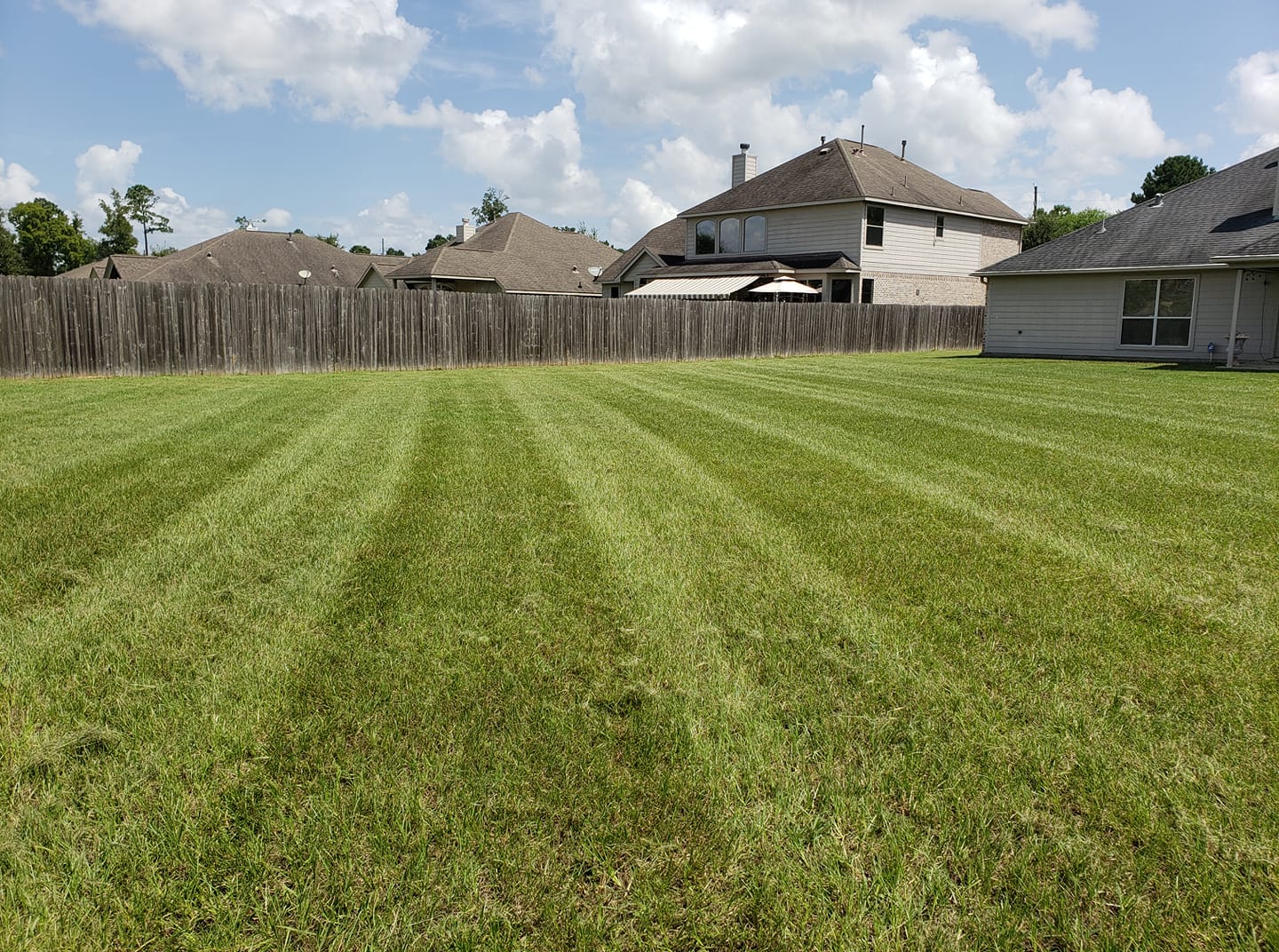 law maintenance in conroe, tx
