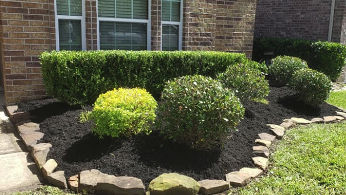 Mulched garden bed with trimmed shrubs and stone border