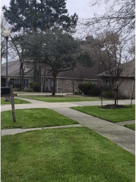 Freshly mowed residential lawn in Conroe neighborhood