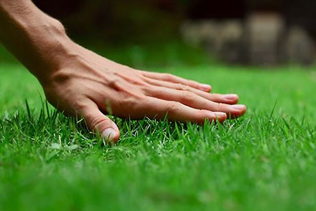 residential and commercial landscapers in conroe, tx