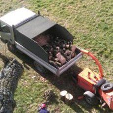 Garden waste