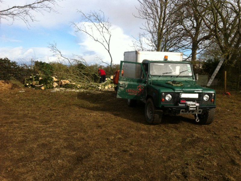 Garden clearance