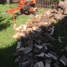 Logs