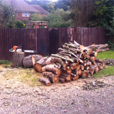Firewood