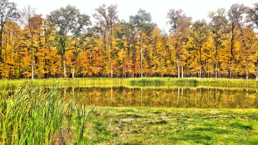Huron Grove Photos
