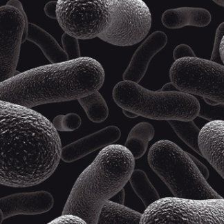 Microbiologia dermatologica