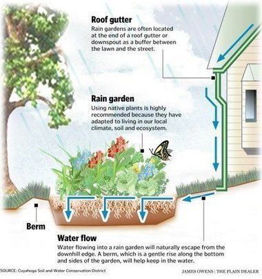 rain water flow