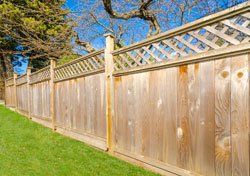 fencing
