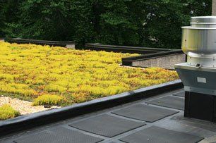 green roof installation