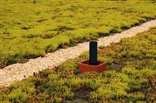 green roof