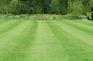 turfing