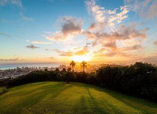 A sunset over a grassy hill with palm trees and a city in the background.