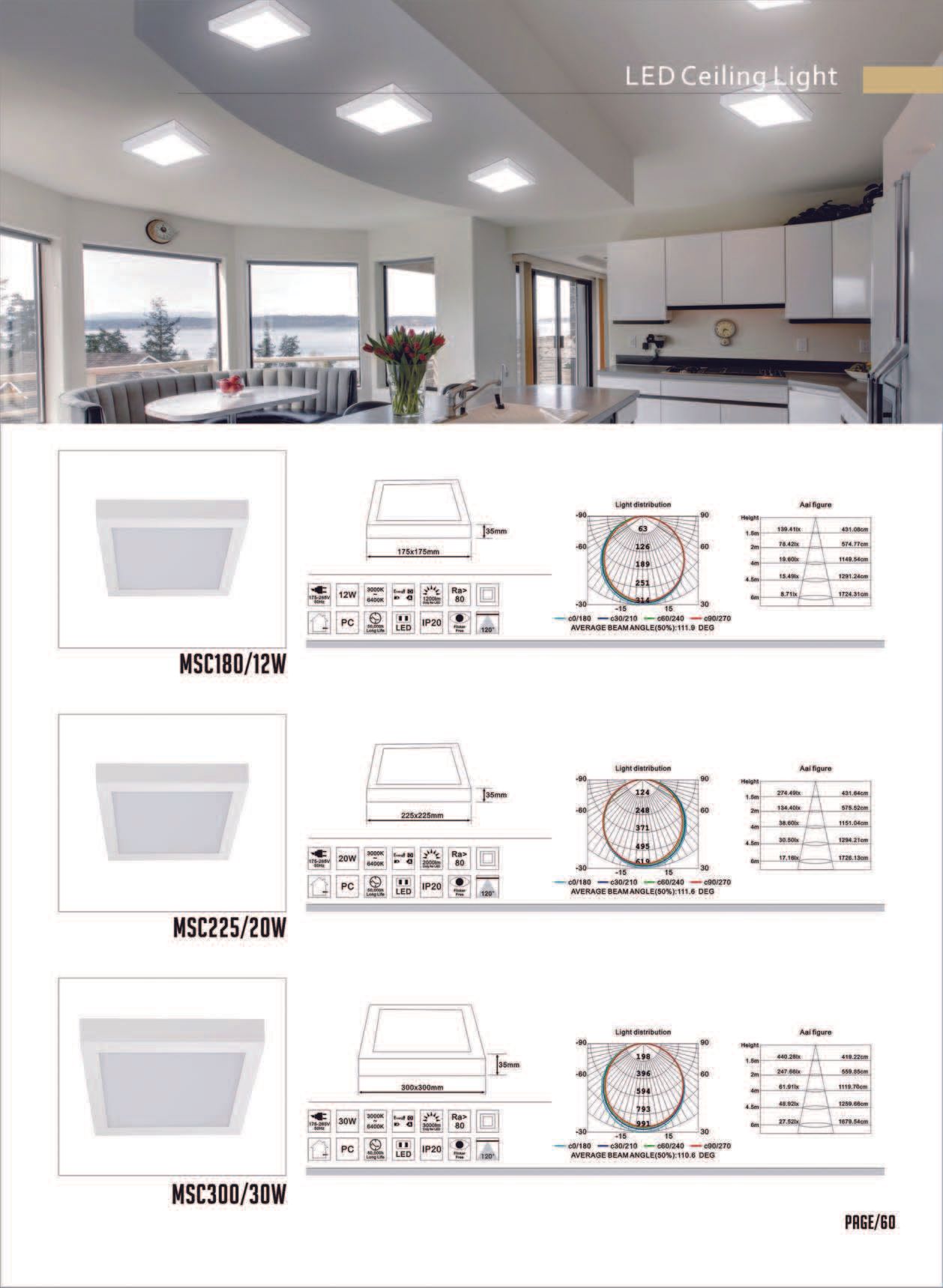 Feel-Lite LED Ceiling Light