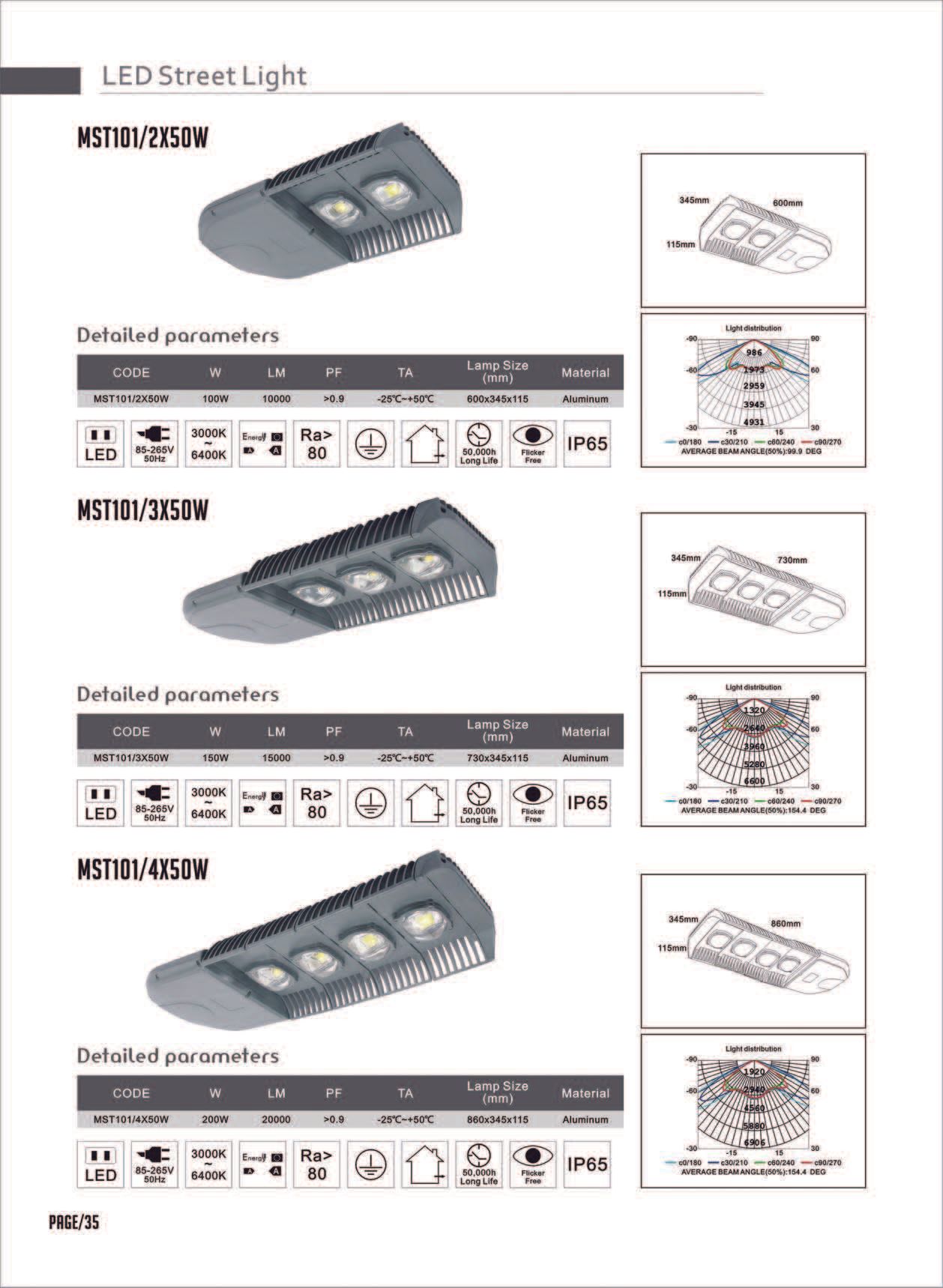 Feel-Lite LED Street Light