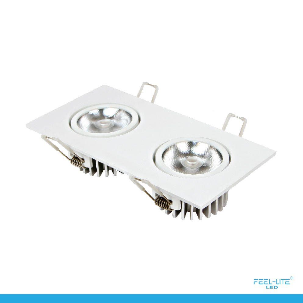 Feel-Lite LED DOWNLIGHT-S1503-12Wx2