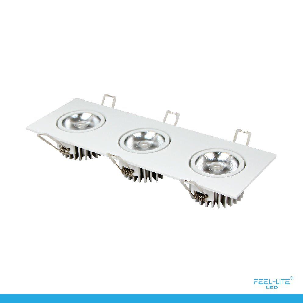 Feel-Lite LED DOWNLIGHT-S1503-12Wx3