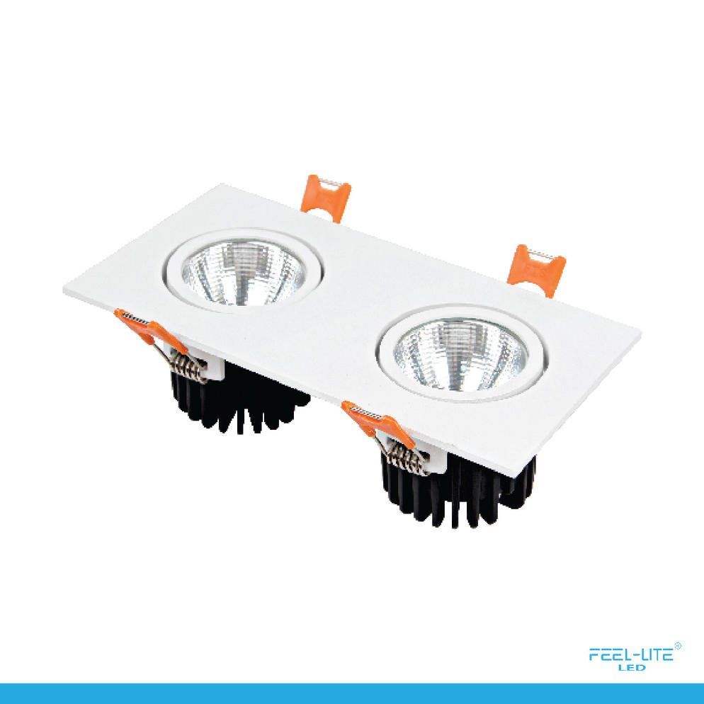 Feel-Lite LED DOWNLIGHT-S1503-12Wx2