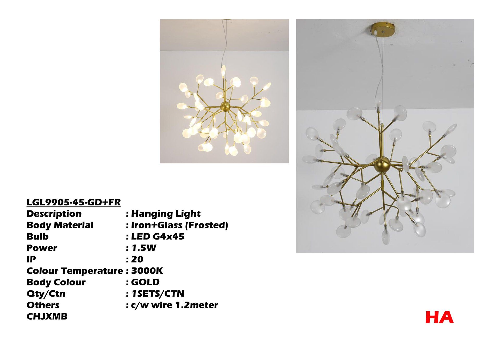 Feel-Lite Hanging Light