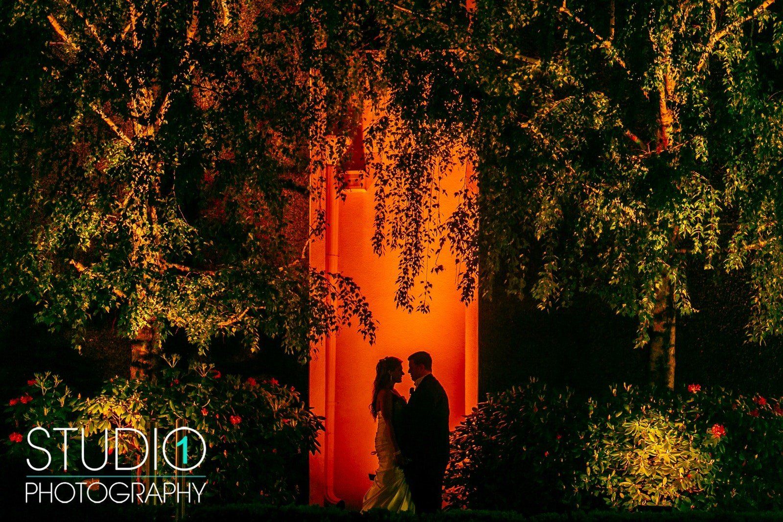 Back-lit Bride & Groom Surrounded by Trees