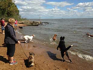 DC Dog Parks