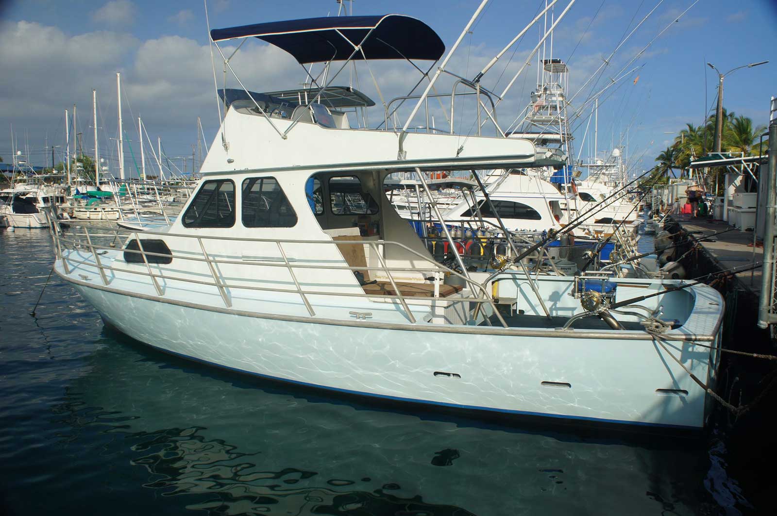 A boat with a canopy is docked at a marina