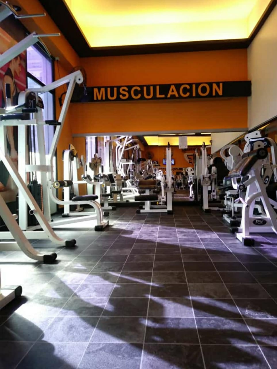Nuestras sedes