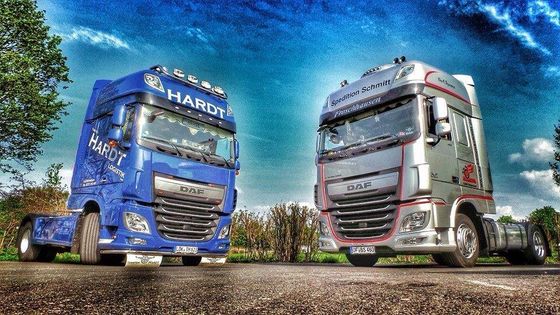 due camion a marchio DAF