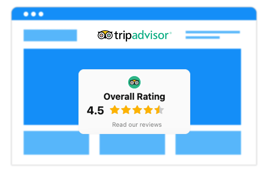 TripAdvisor Reviews