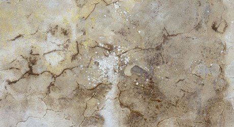 Our professionals will remove the skirting boards and plaster from your walls to insert a damp proof course