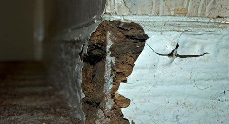 Prevent timber decay