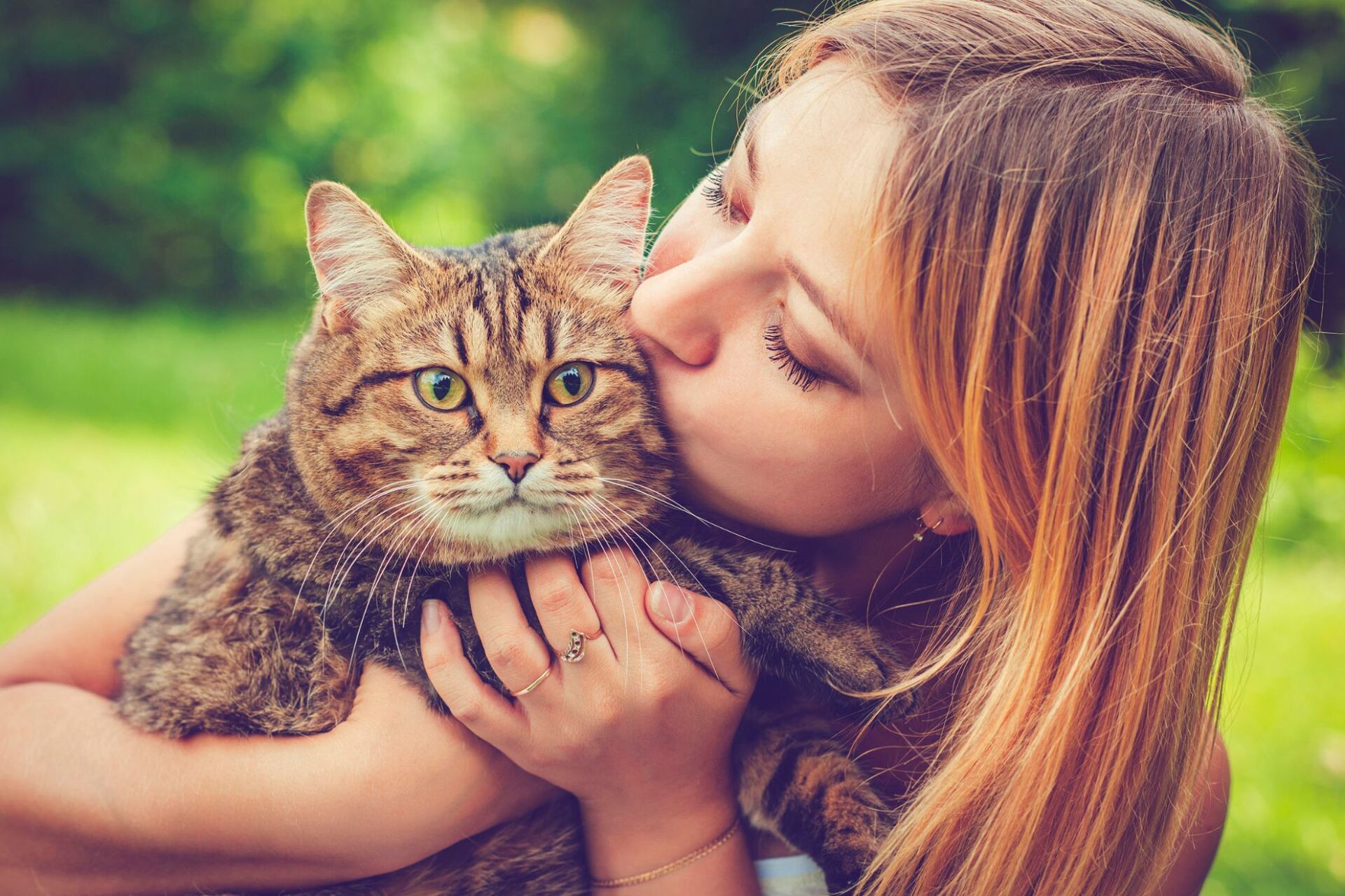 Gatto