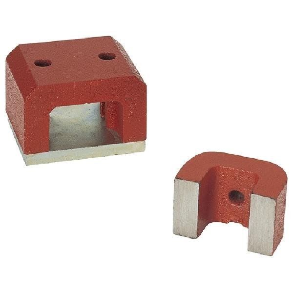 alnico