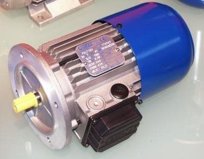 MOTORI ELETTRICI AUTOFRENANTI COEL