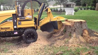 Stump Grinding — Lafayette, IN — Akins-Alford’s Tree Care, LLC Stump Grinding — Lafayette, IN — Akins-Alford’s Tree Care, LLC