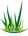 grass icon