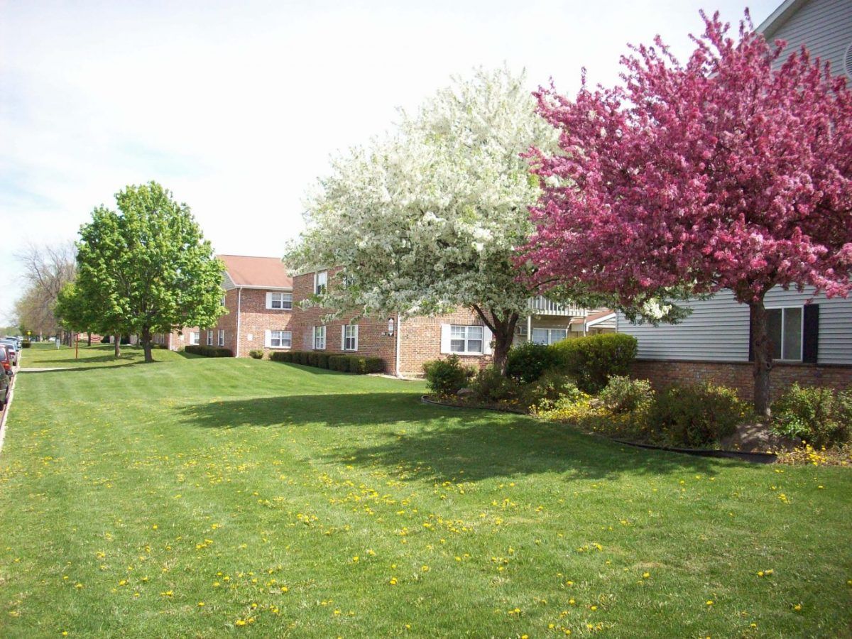Colorful Spring Trees Surrounding Brittany Ⅱ Apartments